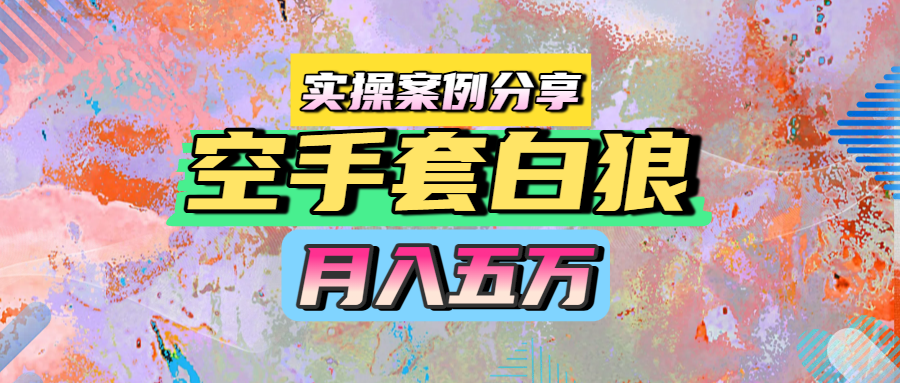 空手套白狼，月入五万，实操案例分享-网创财富岛