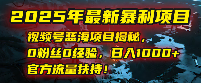 2025年最新暴利项目：视频号蓝海项目揭秘，0粉丝0经验，日入1000+，官方流量扶持！-网创财富岛
