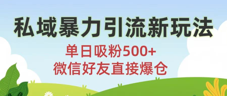 私域暴力引流新玩法!单日吸粉500+，微信好友直接爆仓-网创财富岛
