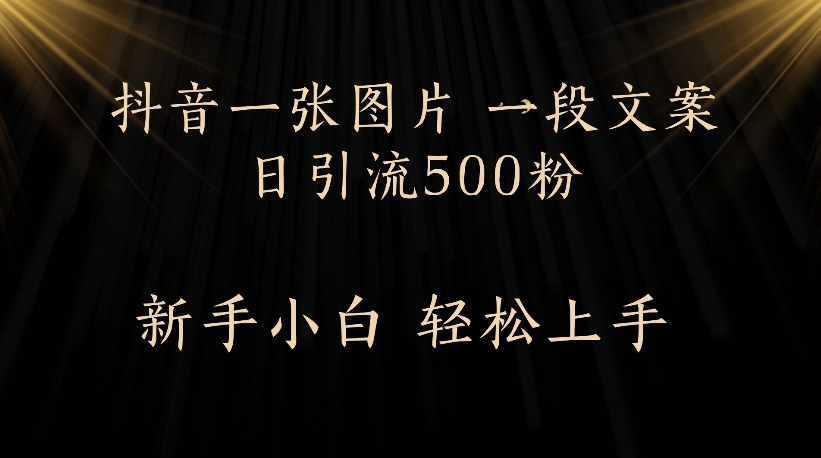 抖音一张图片，一段文案日引流500粉，新手小白 轻松上手-网创财富岛
