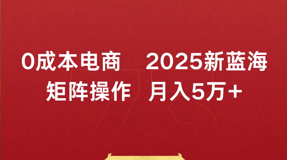 0成本电商2025新蓝海矩阵操作 月入5万+-网创财富岛