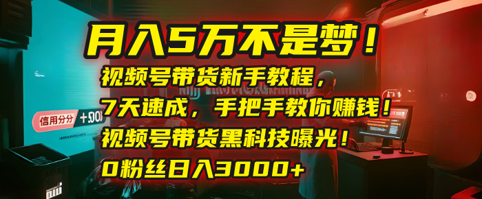 月入5万不是梦！视频号带货新手教程，7天速成，手把手教你赚钱！视频号带货黑科技曝光！0粉丝日入3000+-网创财富岛