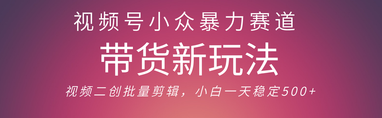 视频号小众暴力赛道，最新带货玩法 小白也能轻松日入500+ 保姆及教程-网创财富岛