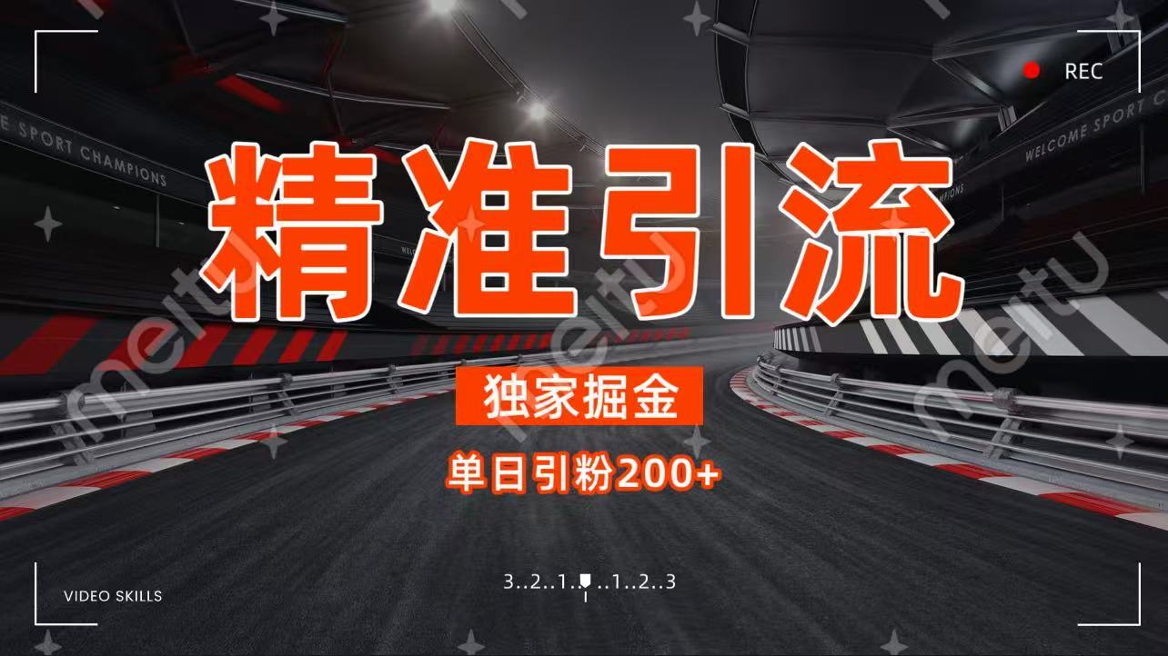 独家野路子精准引流 每日200+-网创财富岛