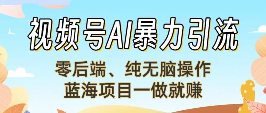 视频号AI暴力引流：零后端、纯无脑操作，蓝海项目一做就赚！【下面那个链接失效了】-网创财富岛