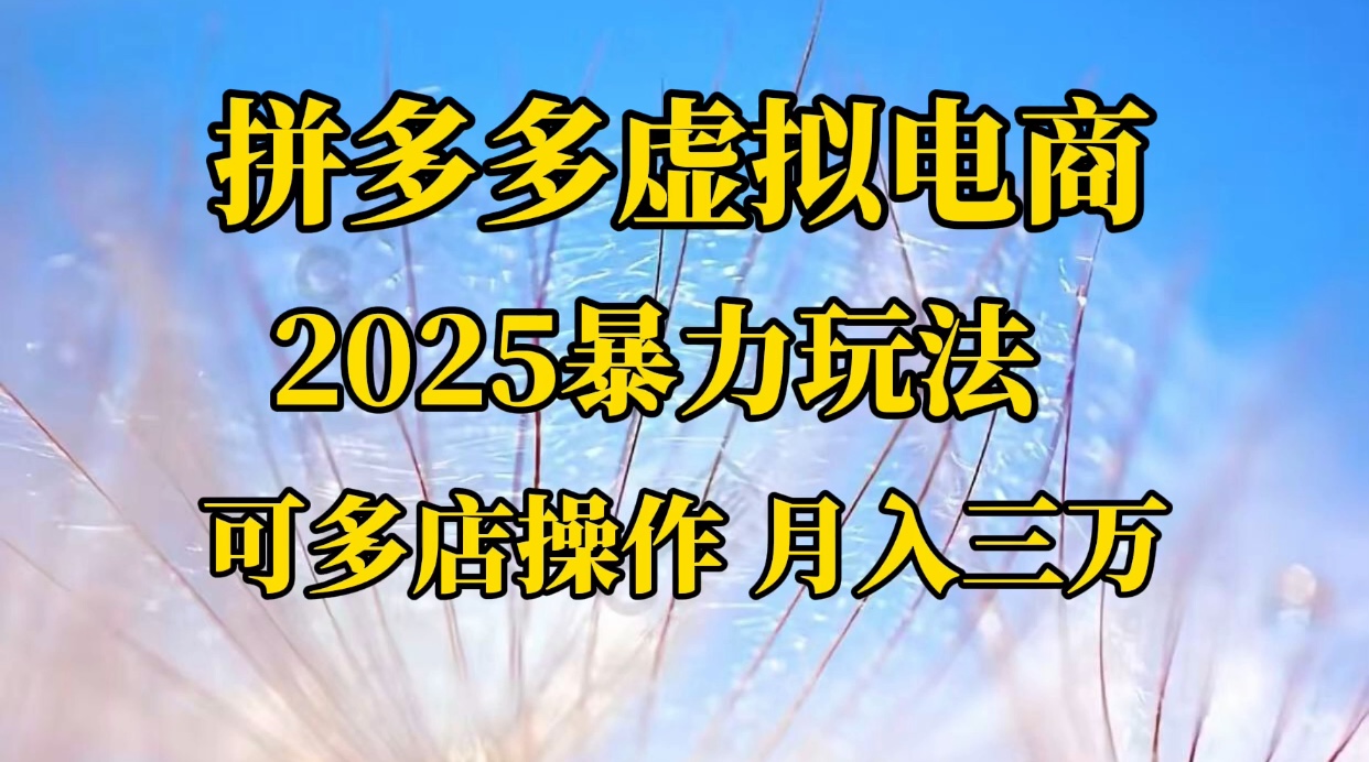 拼多多虚拟电商，不囤货不垫资的虚拟电商-网创财富岛