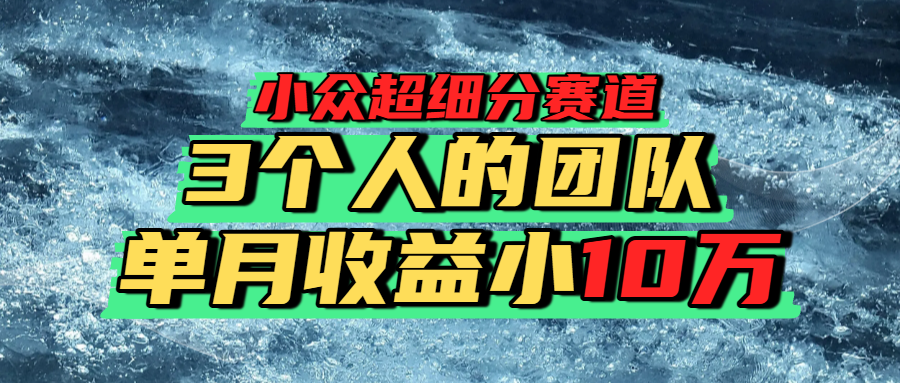 小众超细分赛道，一年百万利润的盘子！-网创财富岛