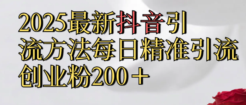 2025最新抖音引流,方法每日精准引流创业粉300+-网创财富岛