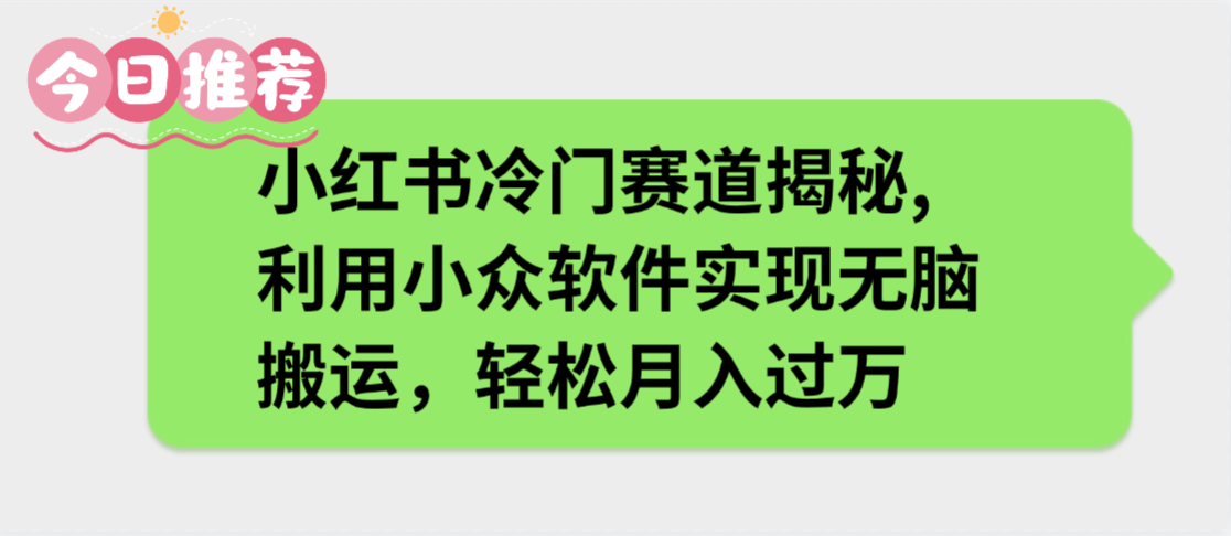小红书冷门赛道揭秘,利用小众软件实现无脑搬运，轻松月入过万-网创财富岛