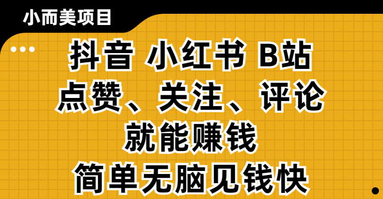 小而美的项目，抖音、小红书、B站视频点赞、关注、评论就能赚钱，简单无脑立见收益!妥妥的零撸项目-网创财富岛