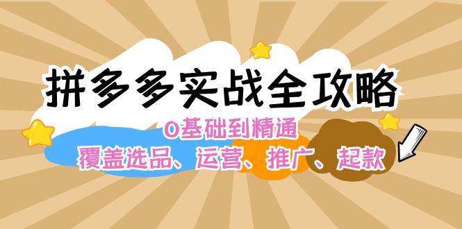 拼多多实战全攻略：0基础到精通，覆盖选品、运营、推广、起款-网创财富岛